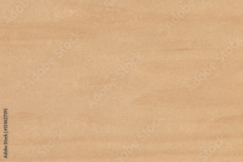 Maple- white (Acer Saccharinum) USA