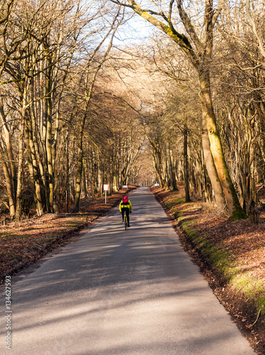 Ashridge - Cyclist and Runner on a winter day