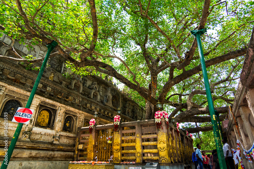  Bodh Gaya is the place where Gautama Buddha is said to have obtained Enlightenment. photo