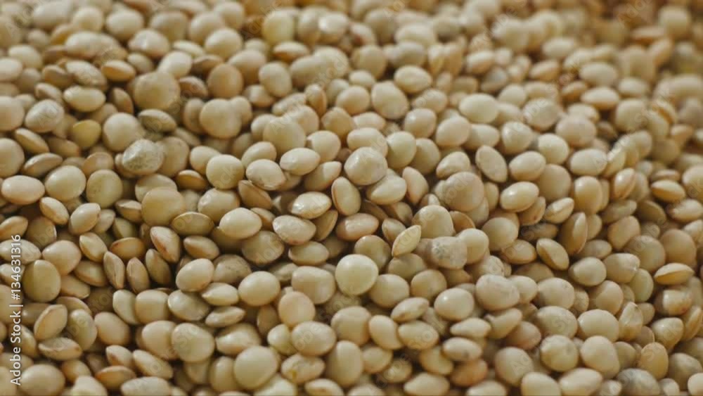 lentils motion, close up lentils motion, close up