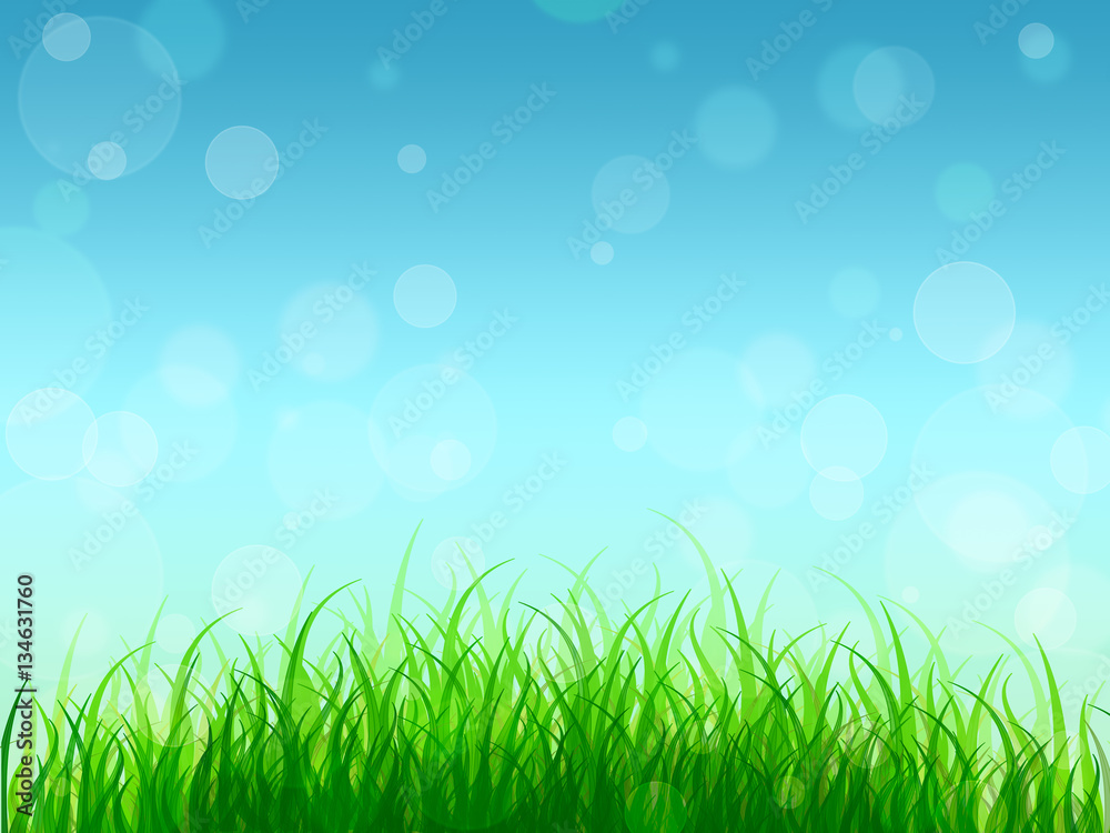 Young grass and blue sky. Background. Spring. Summer. Card.