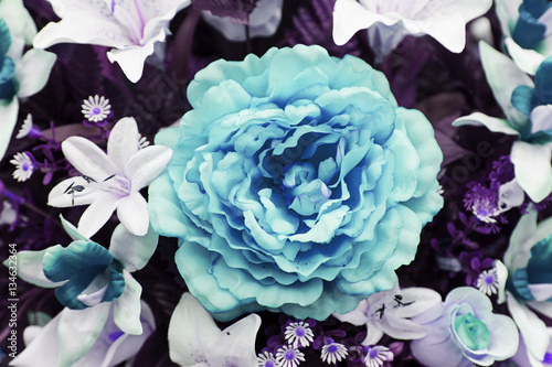 Fototapeta Naklejka Na Ścianę i Meble -  Rose flower planted
