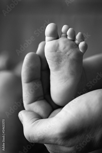 newborn