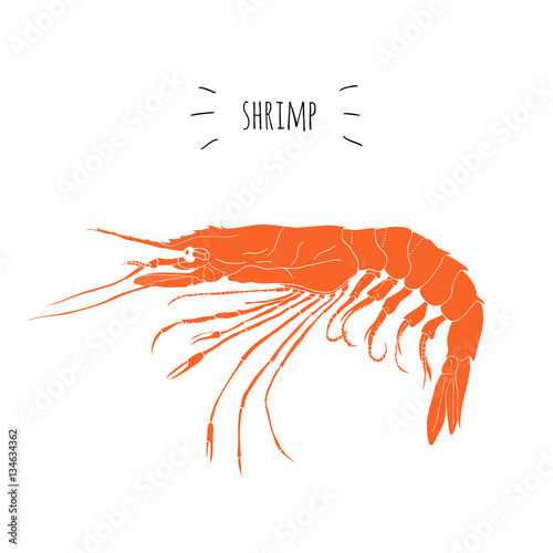 Orange shrimp vector logo isolated on white background. Hand drawn seafood design icon illustration for sushi restaurant menu or signboard. Prawn. Japanese marine products.