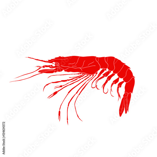 Red shrimp vector logo isolated on white background. Hand drawn seafood design icon illustration for sushi restaurant menu or signboard. Prawn. Japanese marine products.