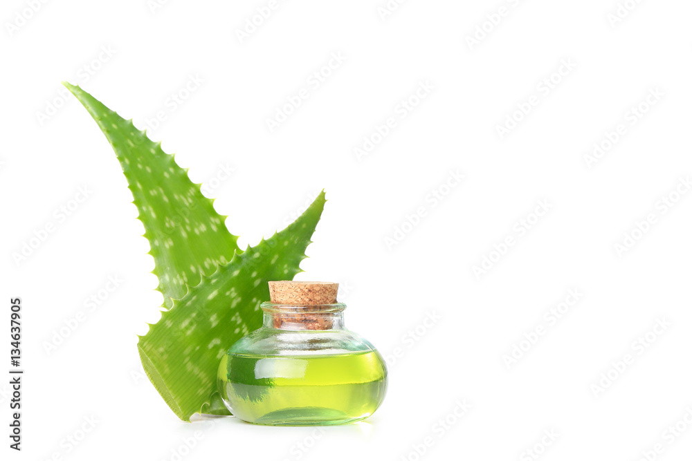 aloe vera aloe vera