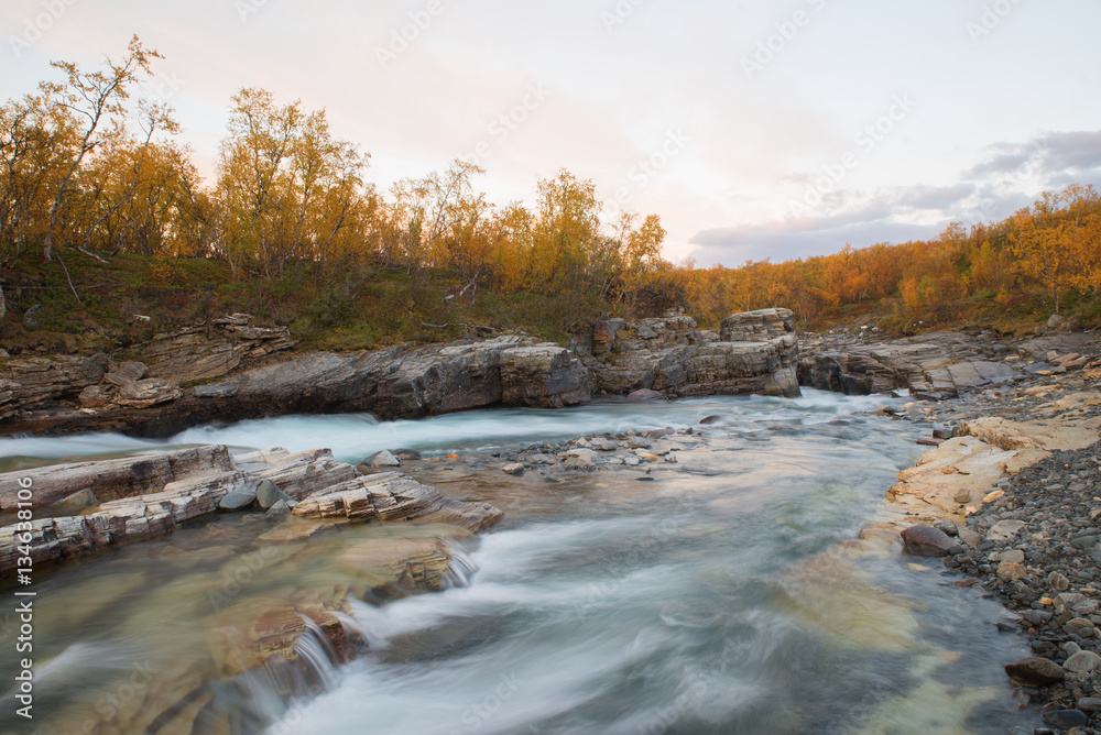 Abiskojakka river in Abisko national park Abiskojakka river in Abisko national park
