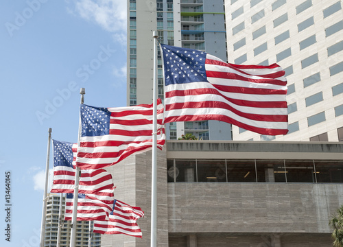 Flags Of The United States