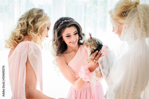 Bride and bridesmaids in pink dresses play with little fluffy do