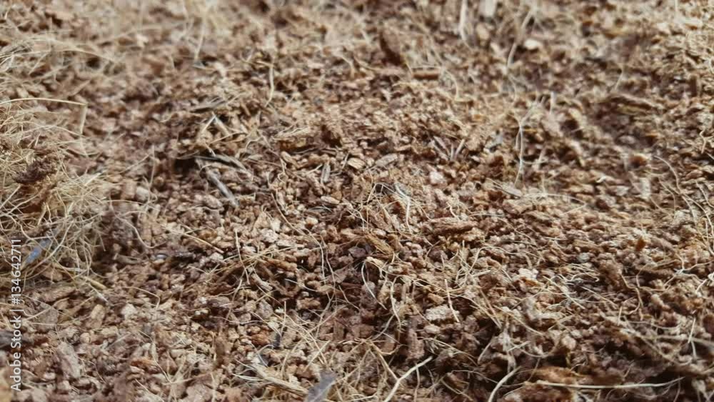 Dry coconut coir rotate on the table. Macro shot. Dry coconut coir rotate on the table. Macro shot.