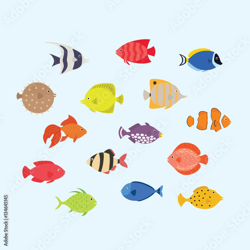 Cute fish vector illustration icons set. Tropical fish  sea fish  aquarium fish