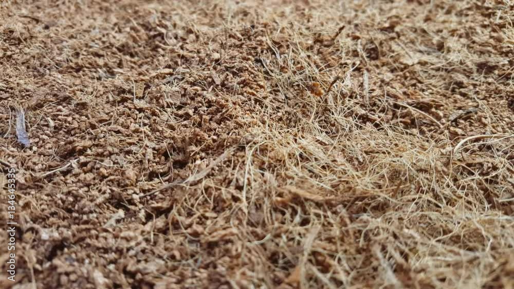 Dry coconut coir rotate on the table. Macro shot. Dry coconut coir rotate on the table. Macro shot.