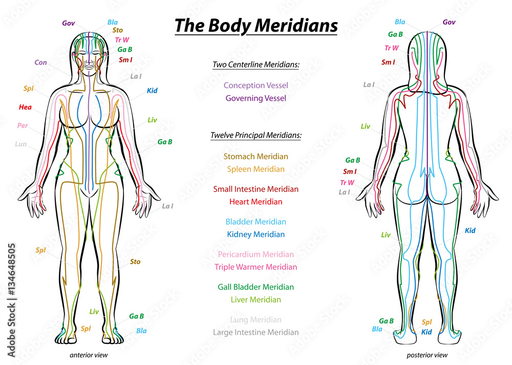Photo & Art Print MERIDIAN SYSTEM CHART Female body with principal and centerline acupuncture meridians - anterior and posterior view - Traditional Chinese Medicine