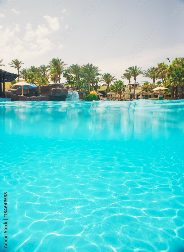 nice view of the swimming, underwater and above water