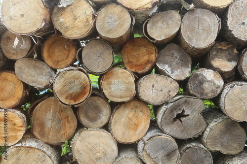 Woodpile