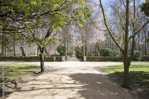 Royal gardens of the palace of aranjuez in madrid  spain
