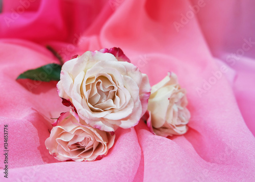Pale pink roses on a background of pink silk drapes.