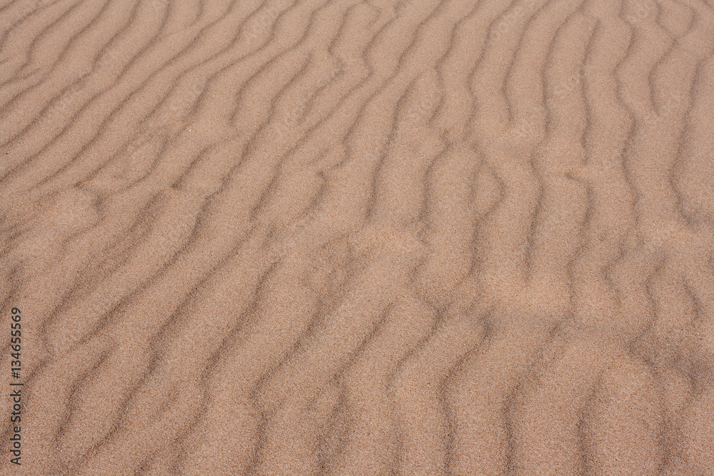 Sandy background. Sandy background.
