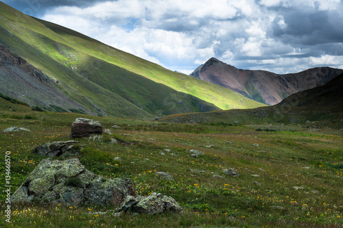 Wild Flowers at Clear Lake at County Road 12, San Juan Nat'l For