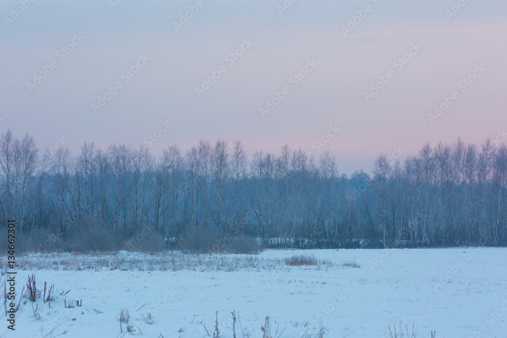 Polish typical winter rural landscape Polish typical winter rural landscape