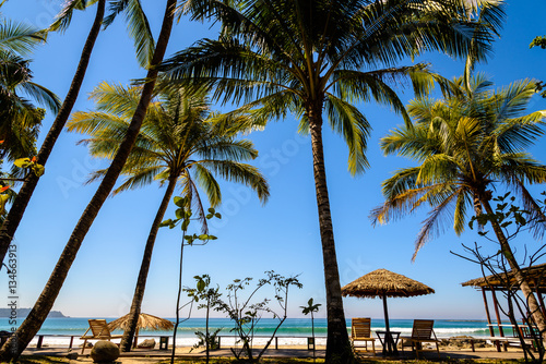 Fototapeta Naklejka Na Ścianę i Meble -  Beachfront with palm trees on Ngapali Beach, Myanmar