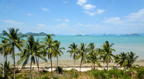 Beachfront with palm trees  Ko Yao Yai  Thailand