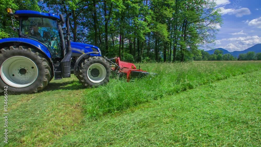 A blue tractor is standing in front of the grass field and it is about to start cutting it with the machinery.
A blue tractor is standing in front of the grass field and it is about to start cutting it with the machinery.