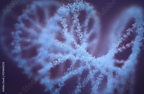 Deoxyribonucleic acid (DNA), molecule that carries the genetic instructions of the development, functioning and reproduction of all living organisms and virus.