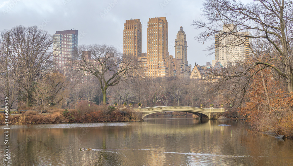 Obraz premium Bow bridge Central Park