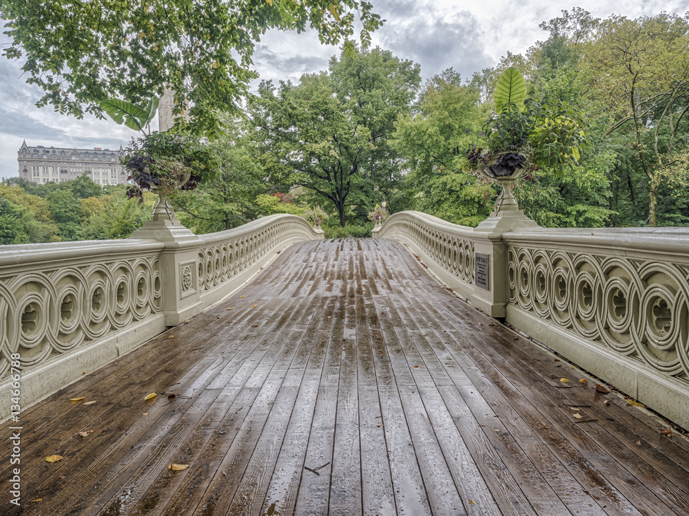 Bow bridge