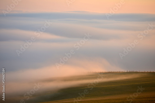 Mist © Peter Cripps