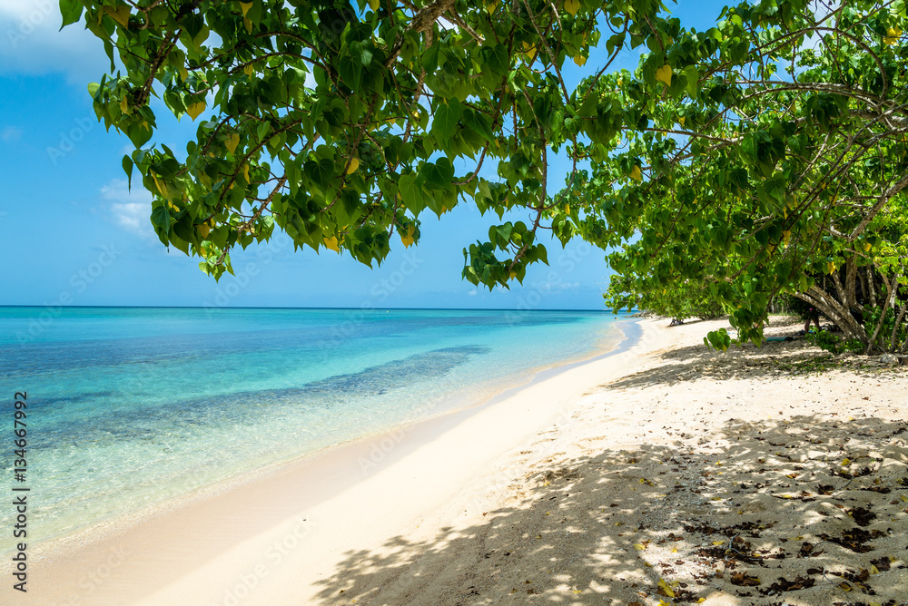 Obraz premium Beach 