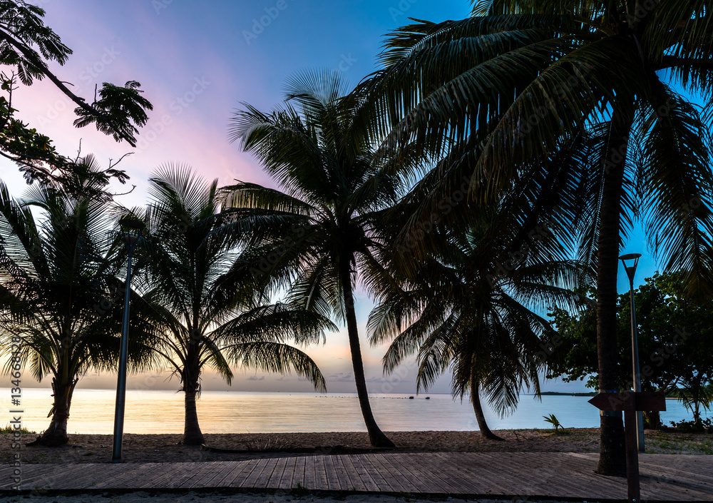 Fototapeta premium Beach 