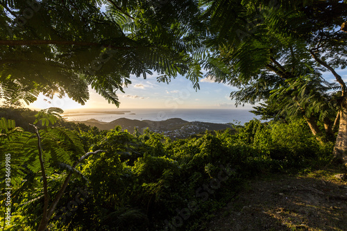 Foto Saint Martin, Sint Maarten: Caribbean Beaches & Golf Course