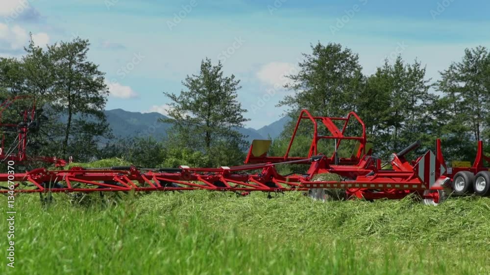 We can see a large rotary rakes machinery which a tractor is pulling. The machinery is turning hay around.
We can see a large rotary rakes machinery which a tractor is pulling. The machinery is turning hay around.