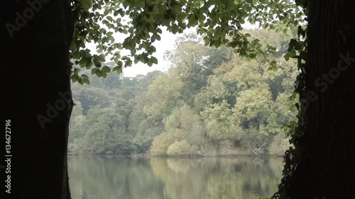 Natural English lake filmed with a natural frame photo