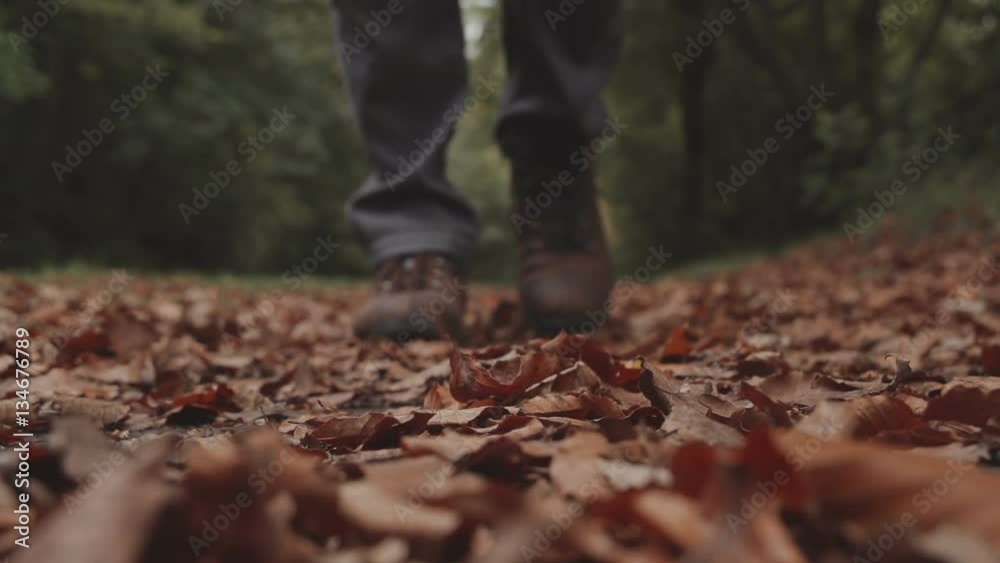 Hiker kicking up Autumn leaves on walk Hiker kicking up Autumn leaves on walk