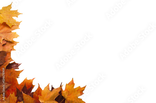 Corner border of autumn leafs Isolated on white