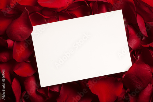 Blank card sitting on bed of rose petals