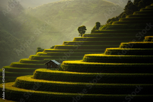 The Rice Fields On Terraced Of Mu Cang Chai, In Northern Vietnam.