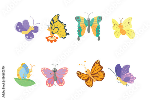 Colorful butterflies vector.