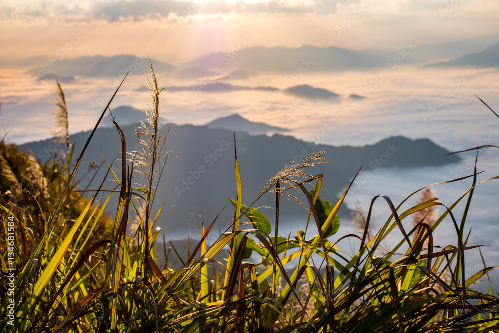 Morning mountain landscape fog and sunshine in north of Thailand Morning mountain landscape fog and sunshine in north of Thailand