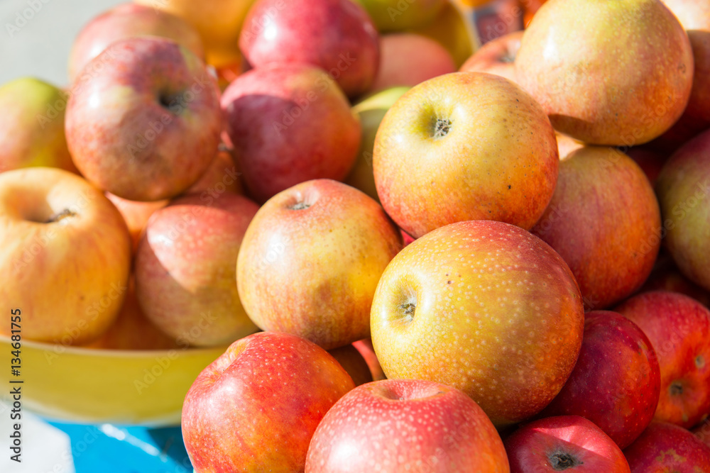 fresh apples ready to eat from farm