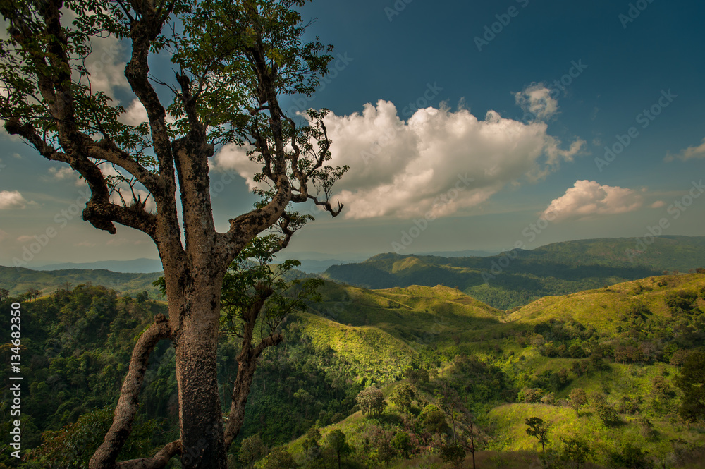 Summer landscape. Green hill and blue sky in forest Thailand