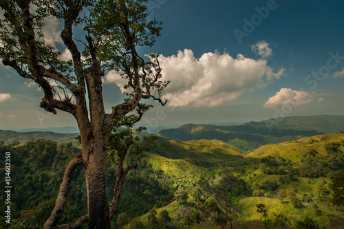 Summer landscape. Green hill and blue sky in forest Thailand