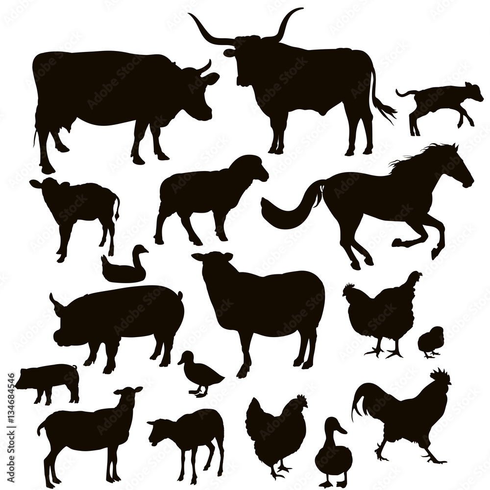 Vector silhouettes of farm animals on the white background