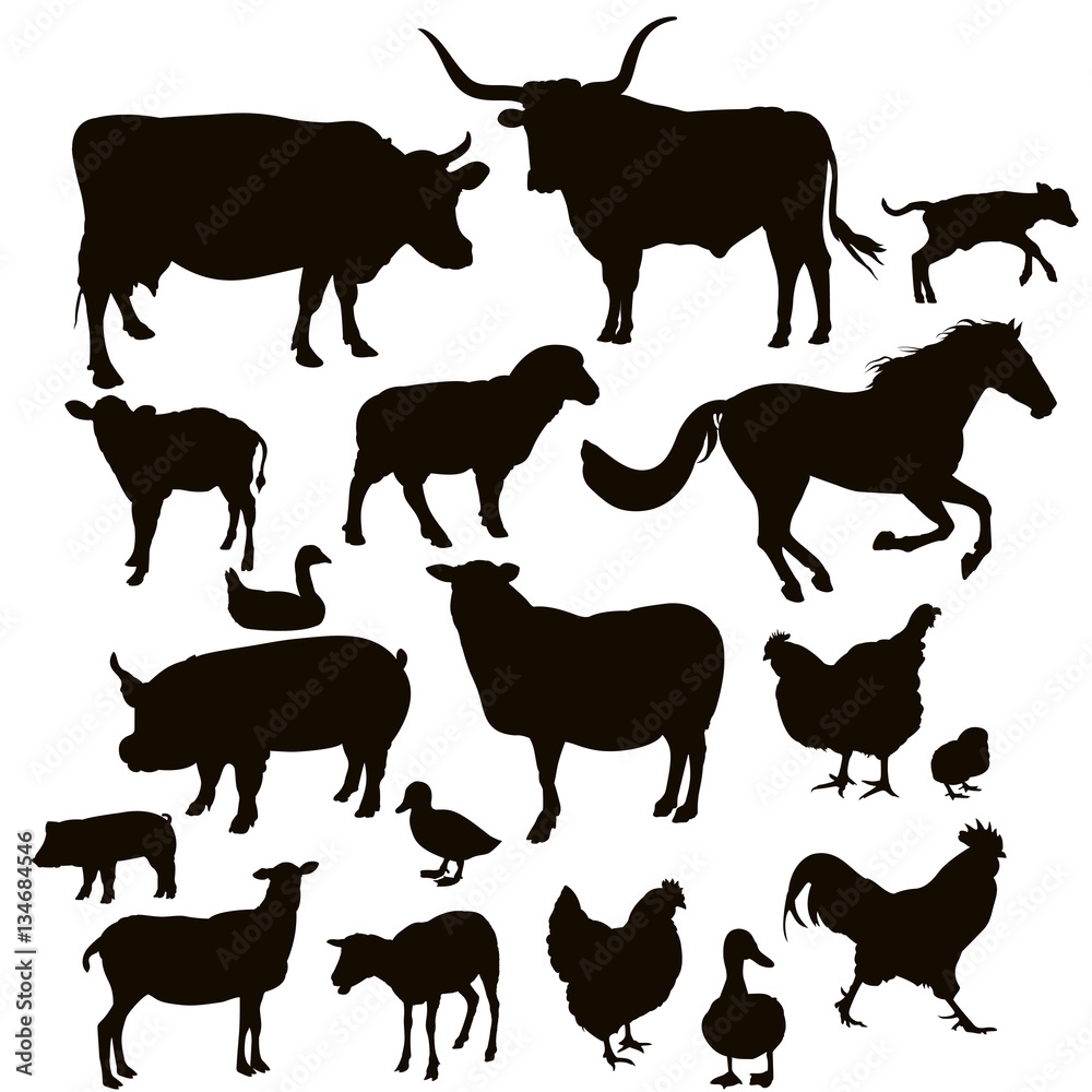 Vector silhouettes of farm animals on the white background Vector silhouettes of farm animals on the white background