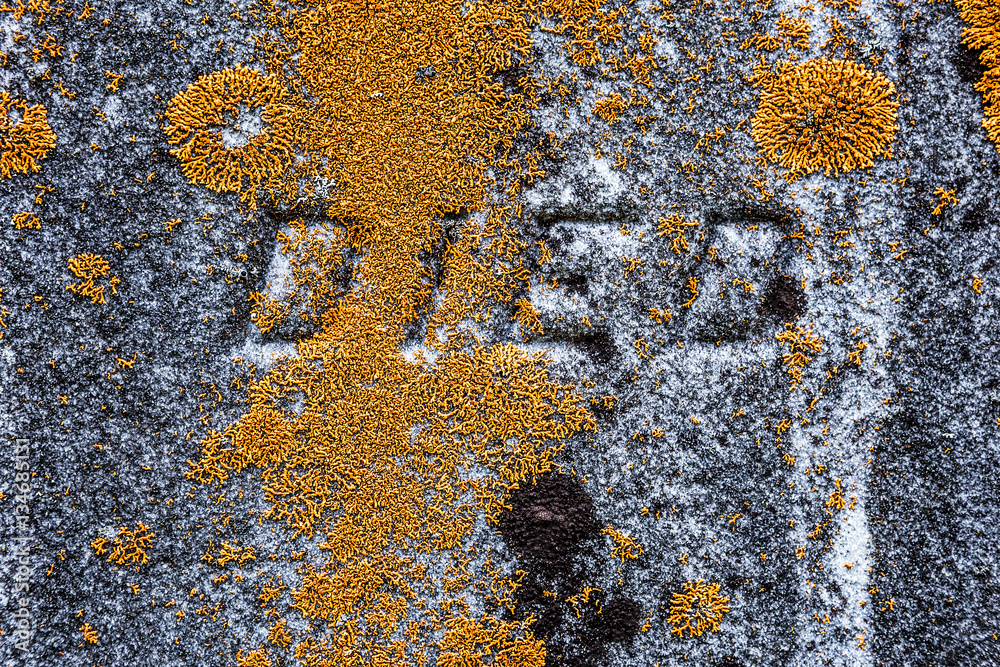 Closeup of an old tombstone, with the word DIED, covered in moss Closeup of an old tombstone, with the word DIED, covered in moss