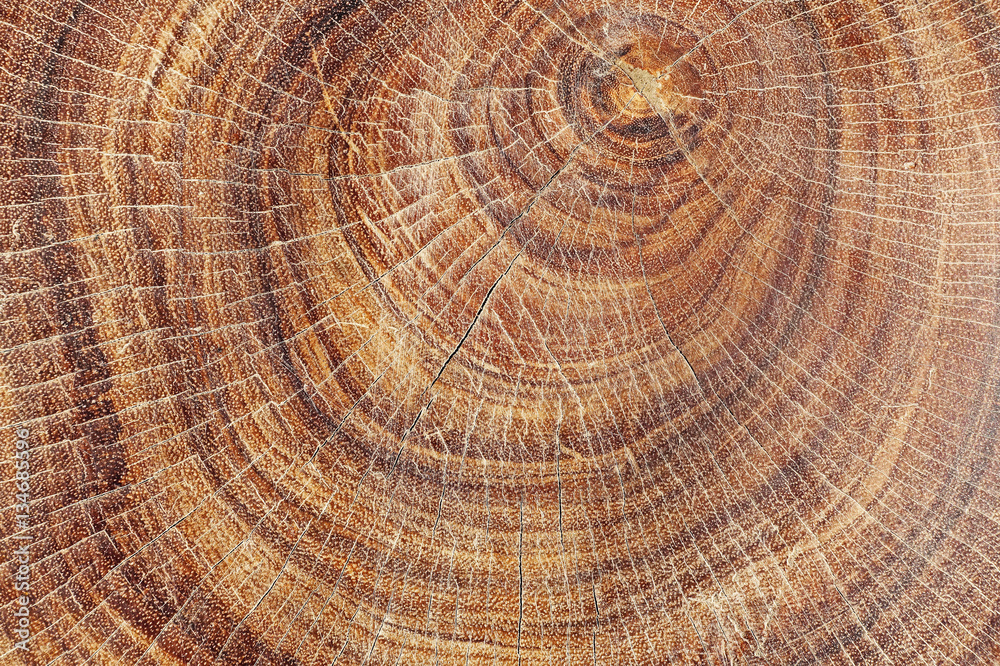 Naklejka premium wood texture background 