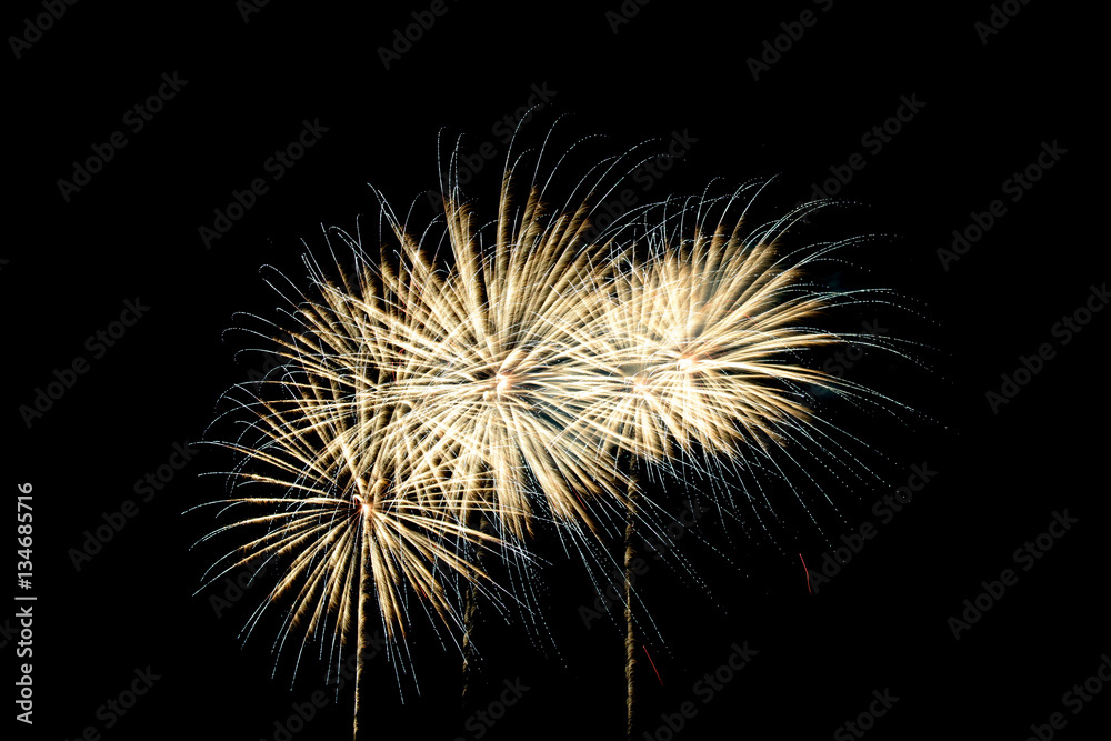 Fireworks light up the sky Fireworks light up the sky